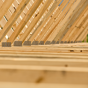 Roof Truss Downloads