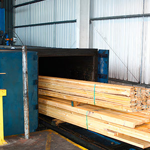 Timber Treatment Downloads